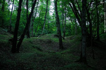 1144762_874