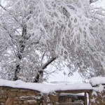 بارش شدید برف و باران در چهاردانگه