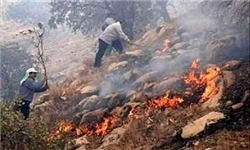 پایان آتش‌سوزی 3 روزه جنگل‌های «یانه‌سر» بهشهر
