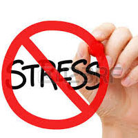 استرس، فاکتور اصلی خطر ابتلا به بیماری های قلبی