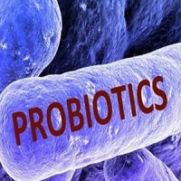 ۲۰ خاصیت مصرف مواد پروبیوتیک برای بدن