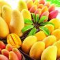 افراددیابتی در مصرف این میوه زیاده روی نکنند
