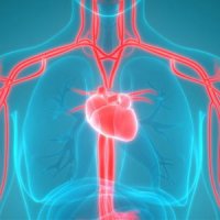 کرونا، اهدای خون در مازندران را ۱۱ درصد کاهش داد