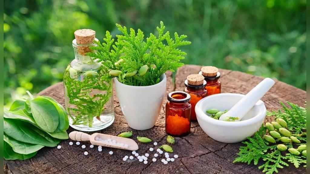 چه گیاهی سرشار از کلسیم است