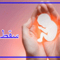 آمار شوکه کننده سقط جنین عمدی در ایران