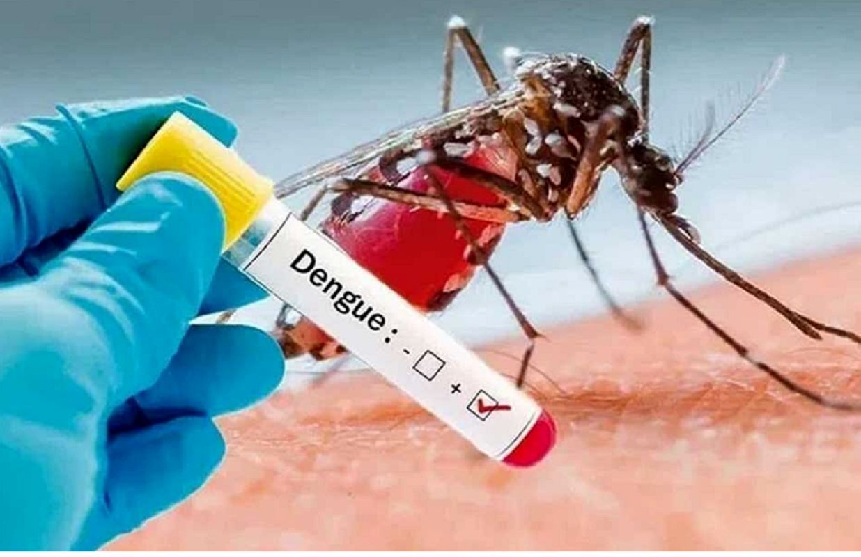 تب دنگی؛ تهدیدی فراگیر با شیوع جهانی رو به افزایش