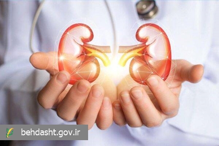 بیماری های موثر در ایجاد نارسایی کلیوی کدامند؟